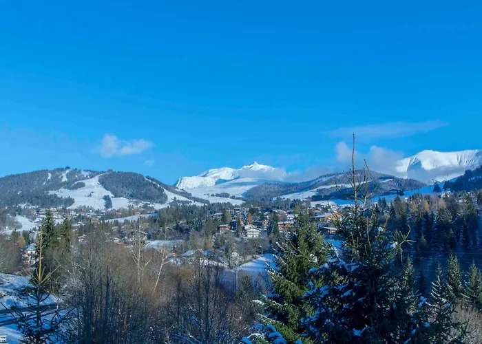 Close To The Village - Chalet 4 Bedrooms, Mont-Blanc View