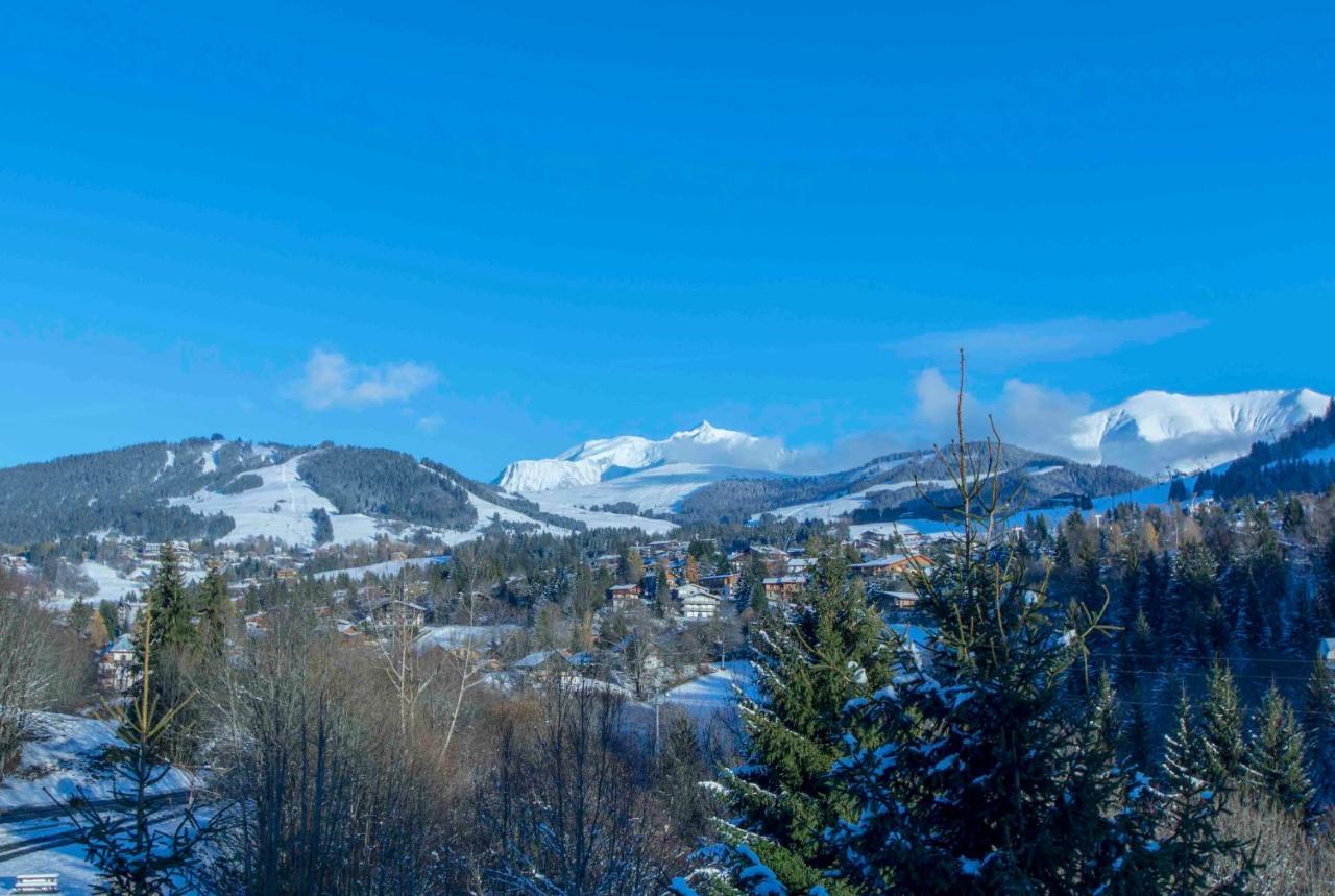 Close To The Village - 4 Bedrooms, Mont-blanc View Chalet